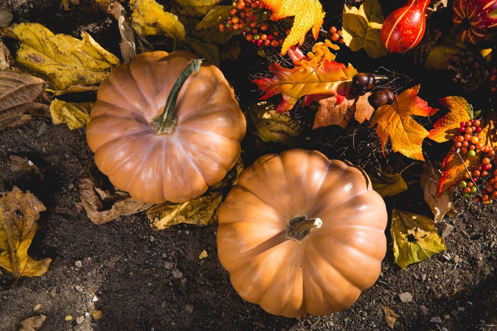 Thanksgiving New Perspective